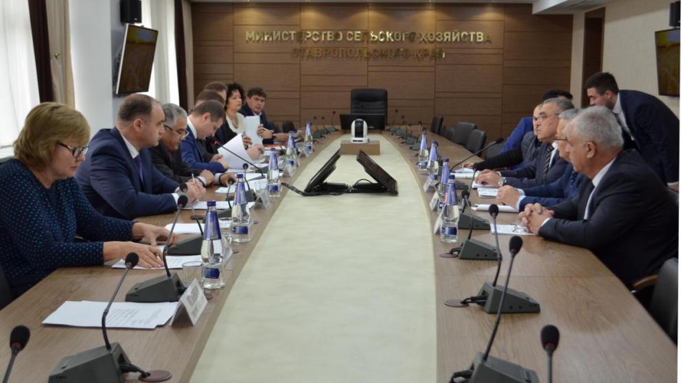 На Ставрополье побывала делегация Турции