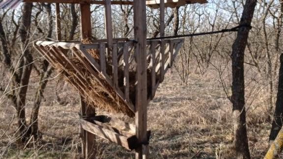 На Ставрополье оборудовали более 3 тысяч кормушек для зверей и птиц