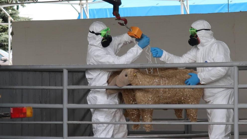 На Ставрополье прошли учения по локализации условного очага ящура