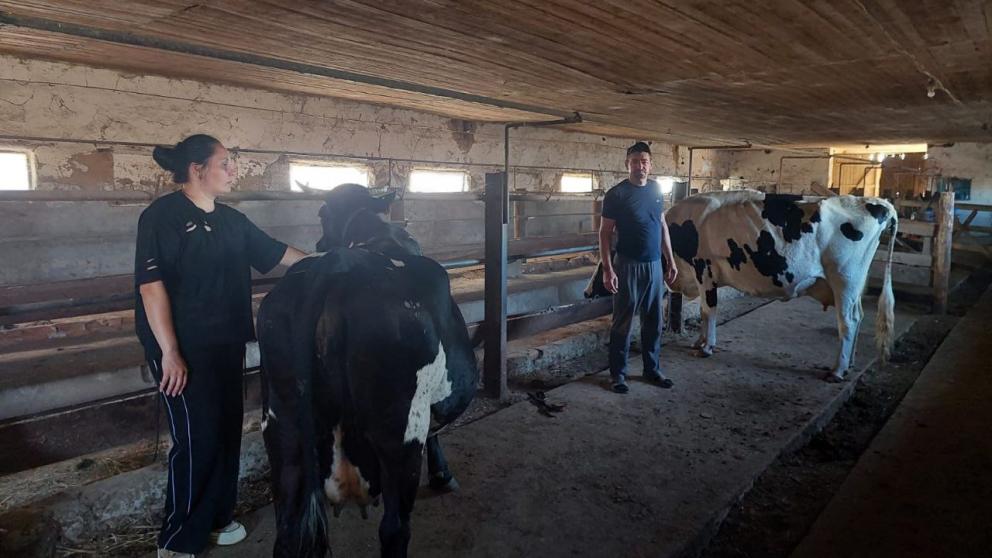 Семье из Арзгирского округа Ставрополья соцконтракт помог развивать подсобное хозяйство