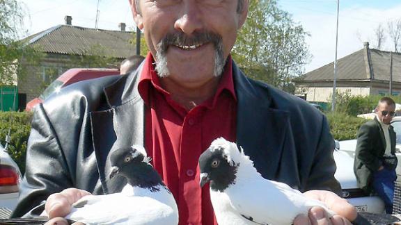 Голуби, кролики и декоративные птицы радовали зрителей выставки в Дивном