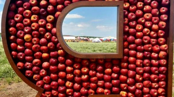 Ставрополье вошло в топ-5 регионов России по количеству субъектов малого и среднего бизнеса в сфере сельского хозяйства