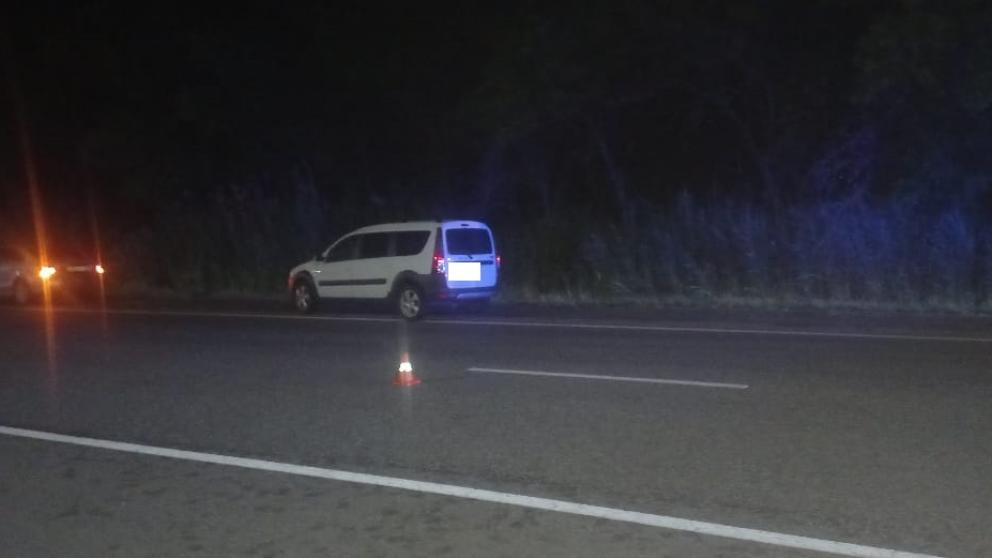 Пешеход погиб под колёсами автомобиля на трассе «Кавказ»