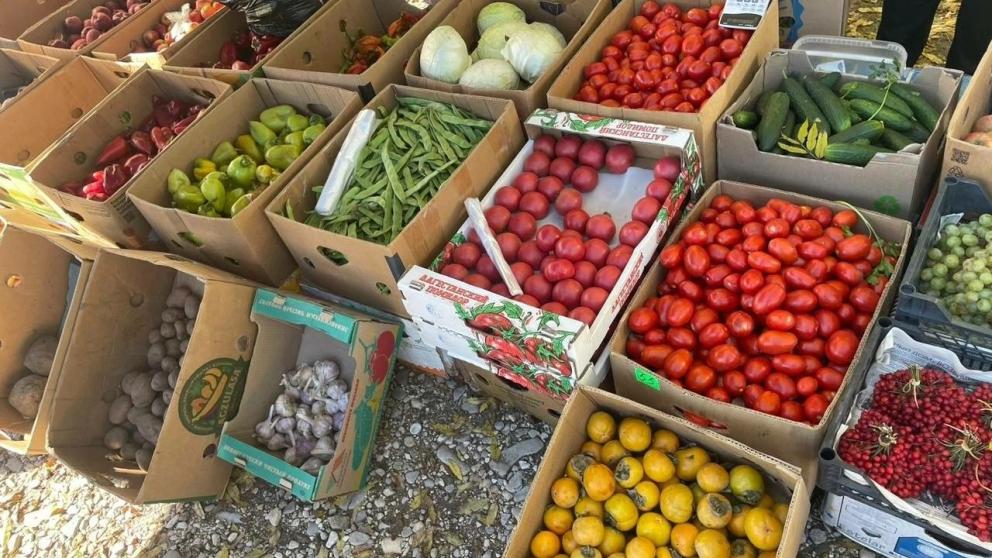 В Предгорном округе Ставрополья проходят ярмарки выходного дня