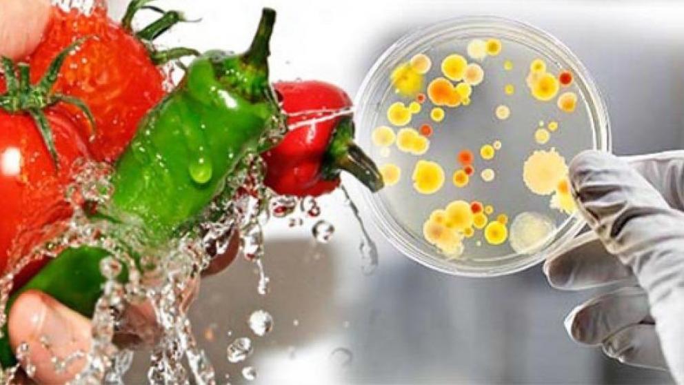 Как уберечь себя от кишечных инфекций