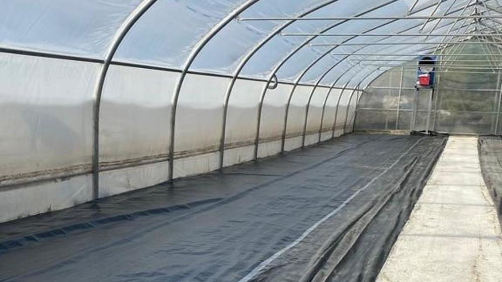 В Ставрополе обустроили две цветочные теплицы