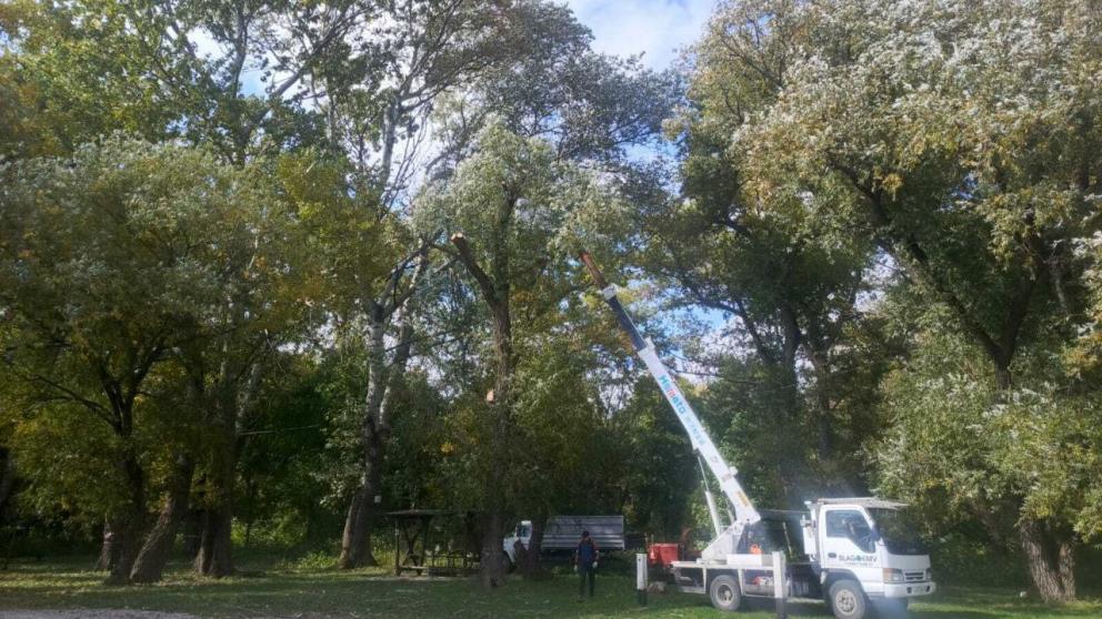 В Ессентуках продолжают благоустраивать территорию городского озера