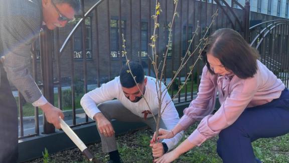 В Ставрополе реализовали общероссийский проект «Аллея Матерей»