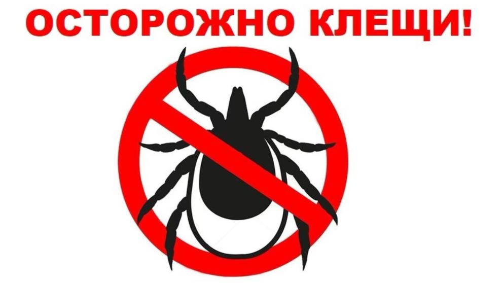 На Ставрополье начались обработки от крымской геморрагической лихорадки