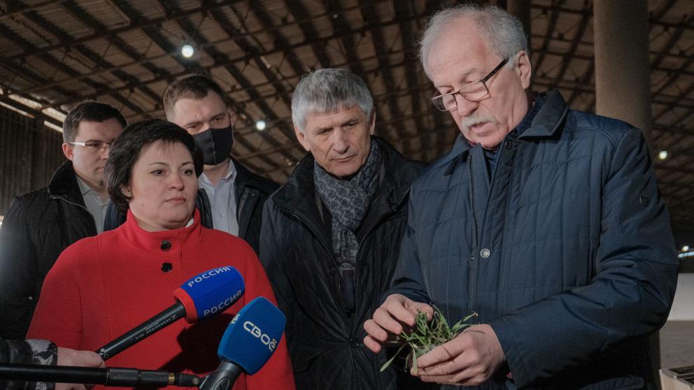 Николай Великдань: Всё равно будем с хлебом