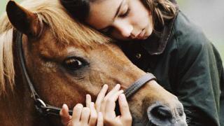 Удивительные факты об интеллекте животных