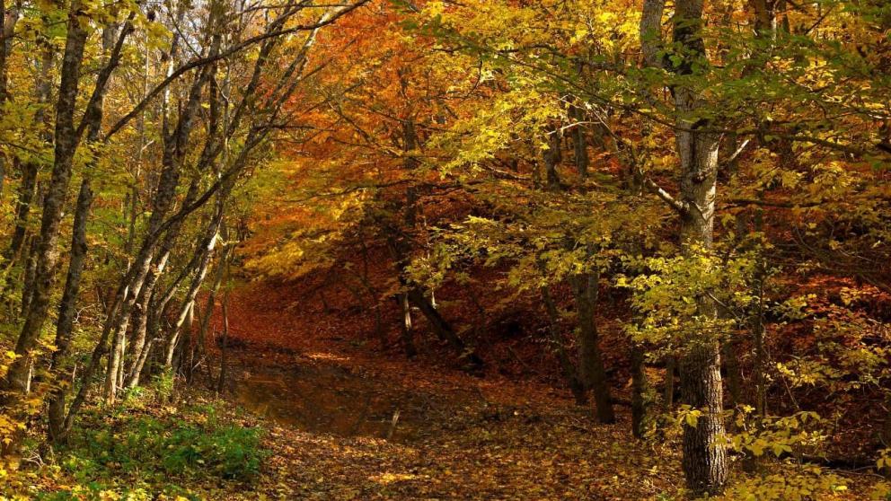 Снимки ставропольского фотографа представлены на выставке в Мексике