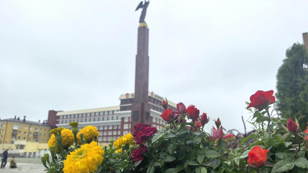 На Ставрополье в День края пройдут акции в поддержку участников СВО