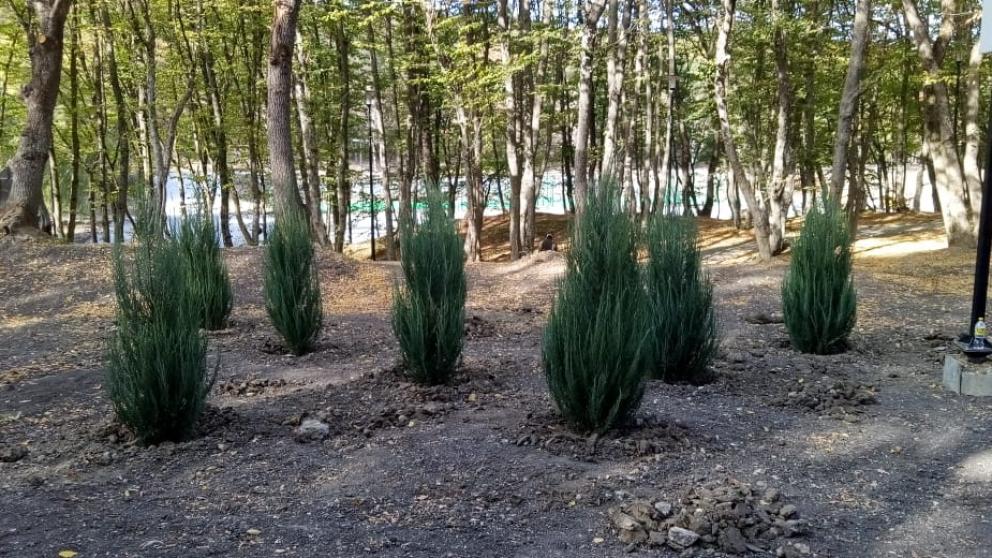 На Комсомольском озере в Ставрополе завершают реконструкцию