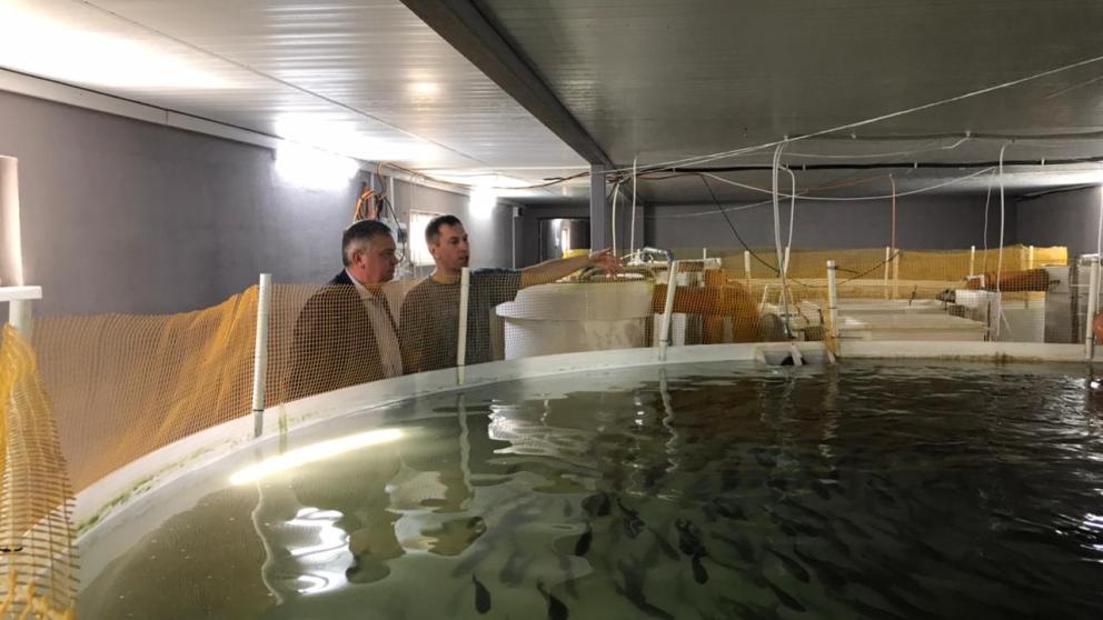 В Ставропольском крае поддерживают производителей рыбы