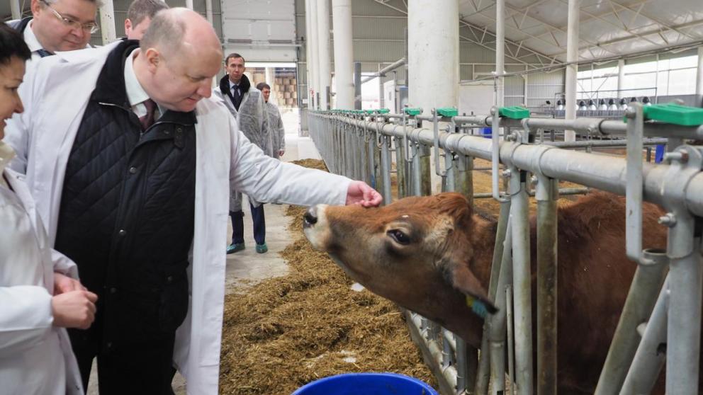 Глава Минкавказа С.Чеботарёв высоко оценил инвестпроекты АПК на Ставрополье