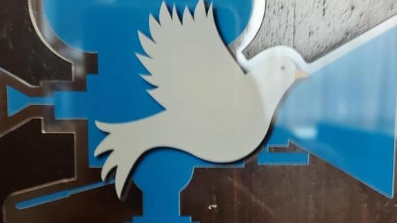 Ставропольские школьники получили специальную награду на всероссийском кинофестивале