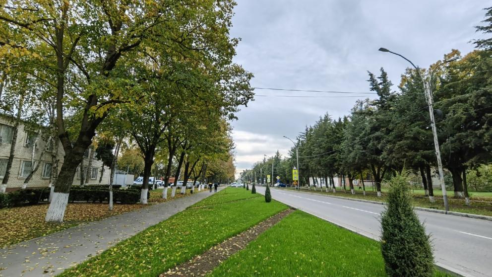 Зеленую зону обустроили в станице Курского округа