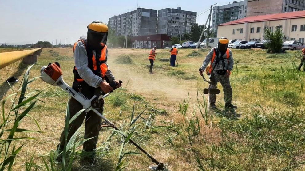 В Будённовске на территории озера Буйвола косят сорную траву