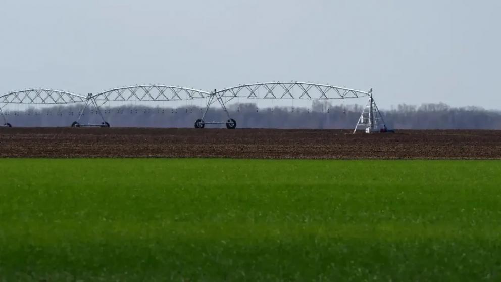 Губернатор Владимиров: на Ставрополье построят новые оросительные системы