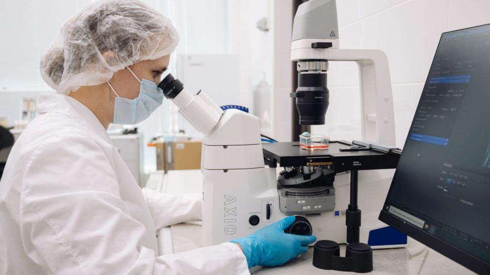 На Ставрополье учёные разработали лекарство для ран на основе куриных эмбрионов