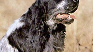 Уникальную методику восстановления детей c ДЦП презентовала психолог из Ставрополя