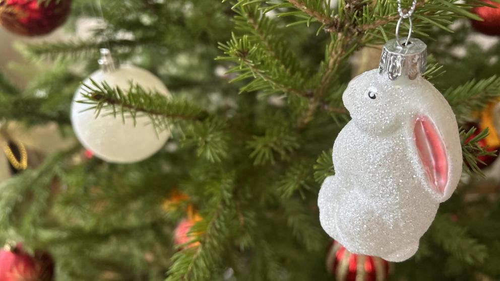 Ставрополь выбирает лучшее новогоднее убранство