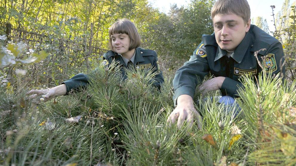 На Ставрополье стартует акция «Сохраним лес»