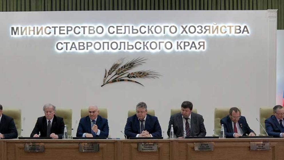 Ставропольский край в 10-ке регионов страны с эффективной аграрной политикой