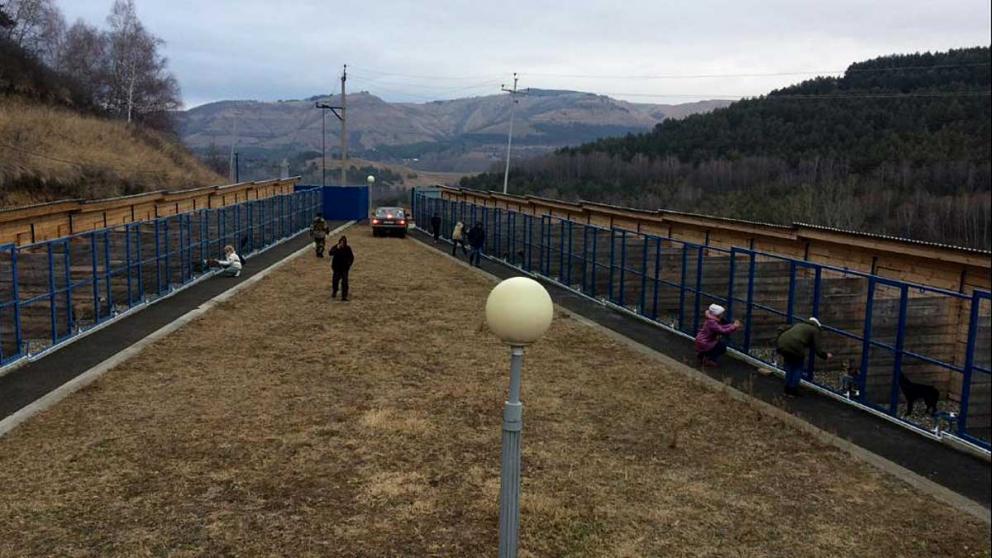 В Кисловодске открыли крупнейший на Ставрополье приют для животных