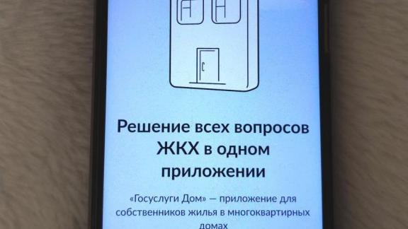 На Ставрополье подано 3 тысячи коллективных заявок через «Госуслуги.Дом»