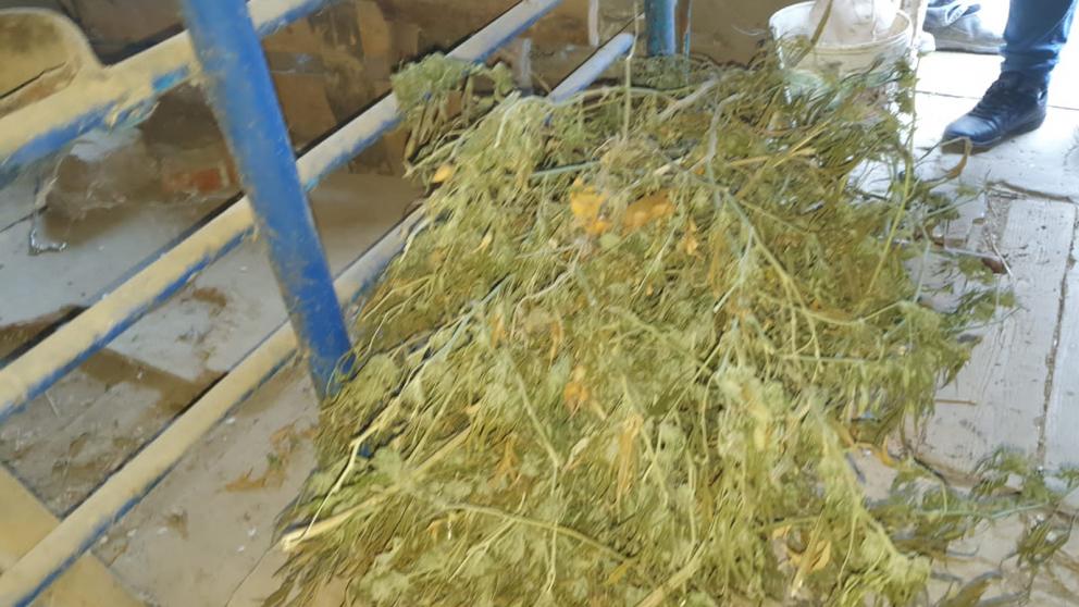 Около двух килограммов растительного наркотика изъяли у мужчины на Ставрополье