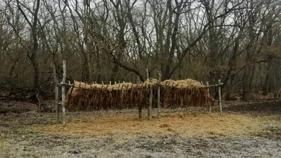 На Ставрополье активно готовят подкормочные площадки для диких животных и птиц