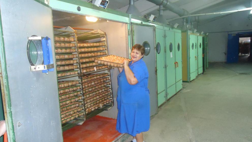 Птицефабрика «Кумская» Георгиевского округа Ставрополья отметила свое 55-летие