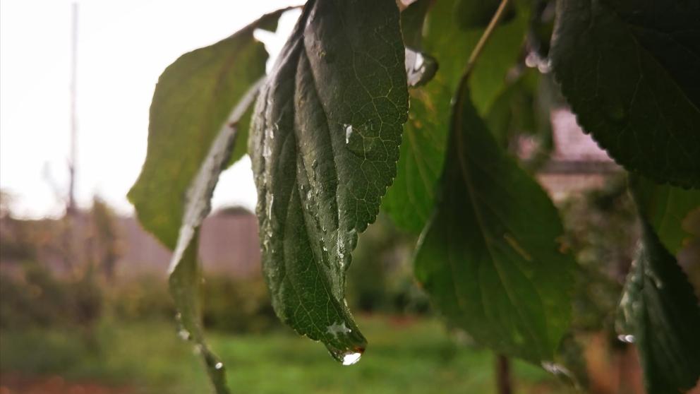 Дожди с градом ожидают на Ставрополье 5 августа 