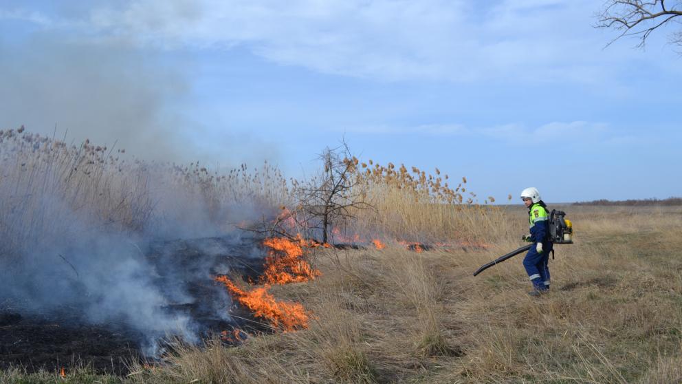 В Ставрополе провели контролируемые выжигания травы