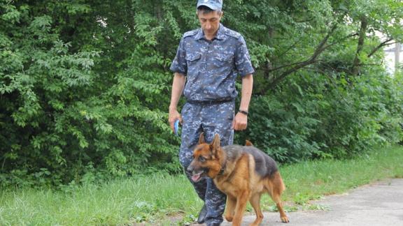 На Ставрополье соревновались инспекторы-кинологи и их четвероногие напарники
