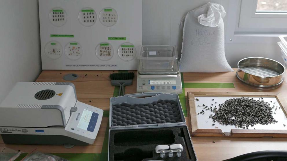 На Ставрополье ведётся подготовка семян к осеннему севу