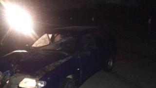 В Кочубеевском районе водитель «ВАЗа» не заметил пешехода в темноте