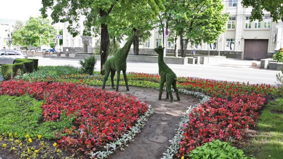 Передвижной лес и более 60 тысяч цветов появятся к международной Студвесне