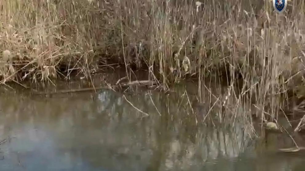 В станице Курской 4-летний ребёнок утонул в реке Кура