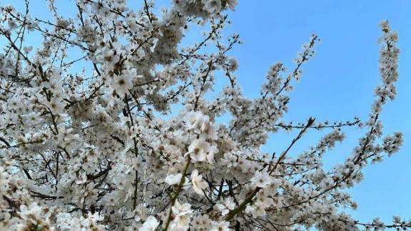 До плюс 27 градусов ожидается на Ставрополье в ближайшие дни