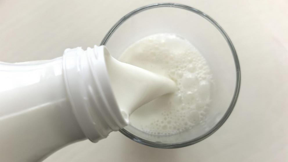 На долю фермеров Ставрополья приходится 59% всего молочного производства