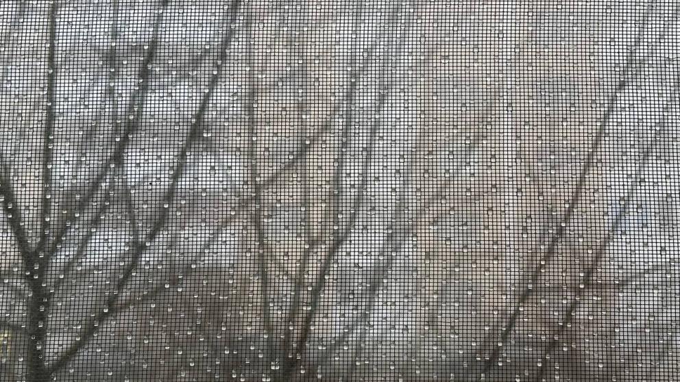 Дожди ожидаются на Ставрополье в середине недели