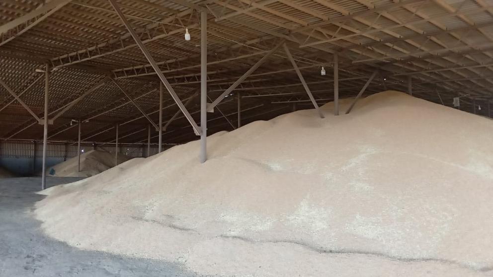 На Ставрополье зернохранилища смогут принять урожай нынешнего и прошлого года