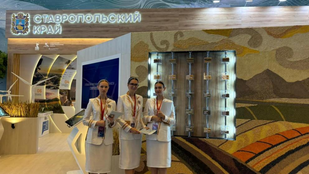 Ставропольский край — один из лидеров России по темпам роста инвестиций