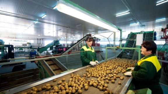 Агропарк «Ставрополье» – крупнейший в России