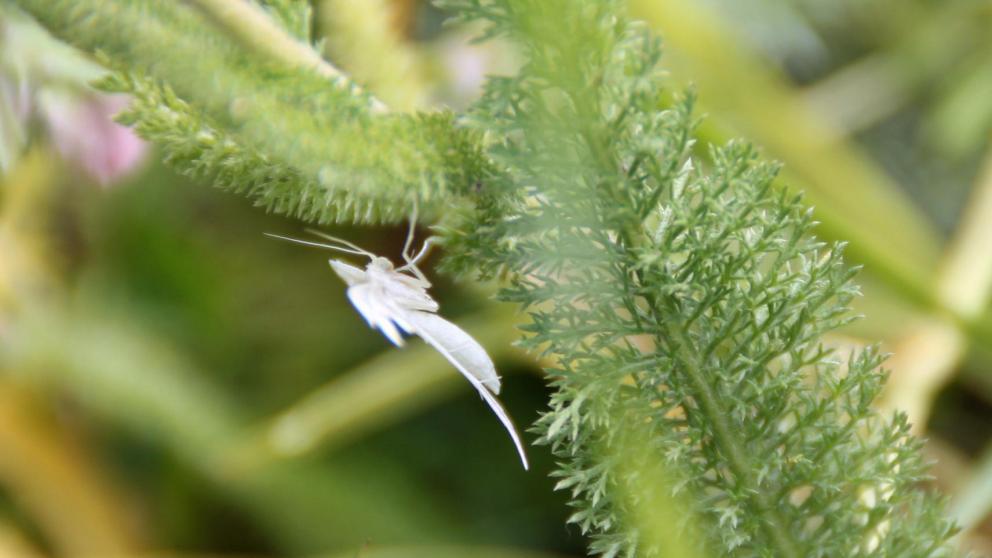 Фотосюжетов «вдали от цивилизации» ждут от ставропольцев