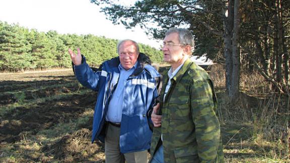 Реформы лесного комплекса на Кавминводах ставят под сомнение будущее курортов