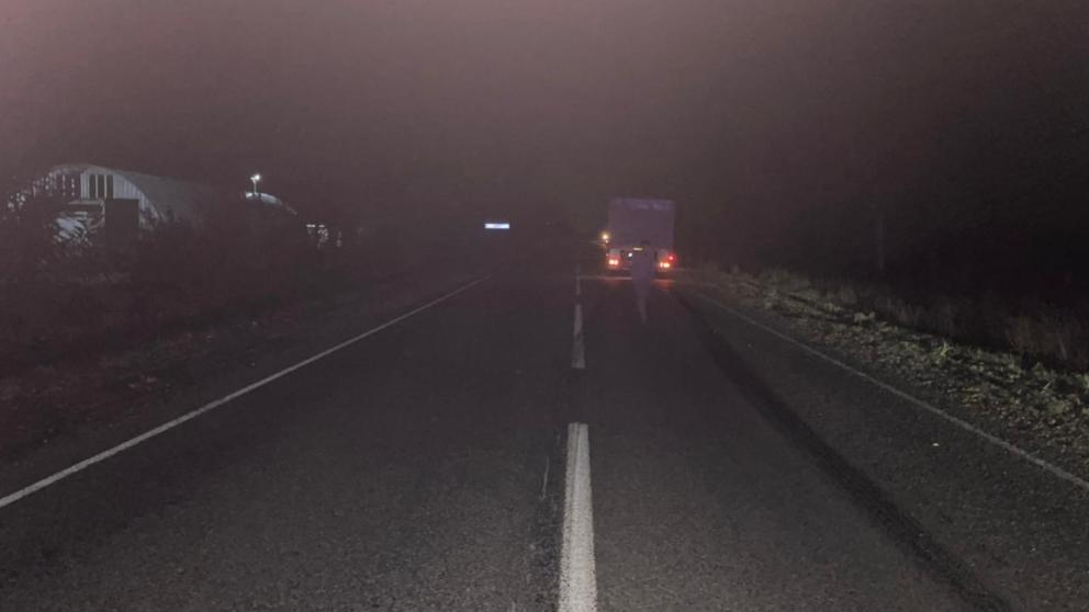 На Ставрополье КамАЗ насмерть сбил пешехода